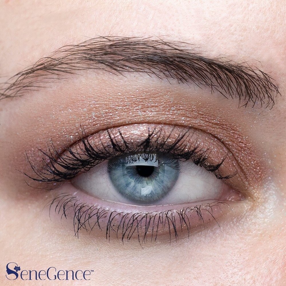 Dusk Shimmer ShadowSense Limited Edition! — Rochelle Valle